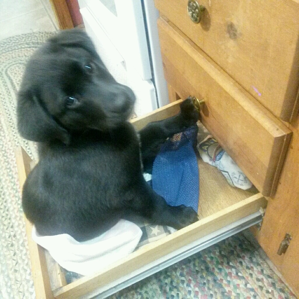 Meet your Posher, Cindy